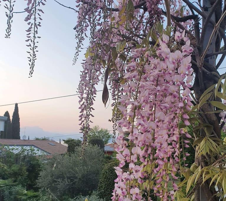 Molo - Residenza Con Accesso Diretto Al Lago Lazise Exteriér fotografie